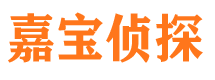 策勒私人侦探